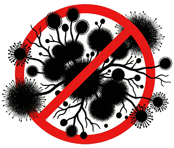 Написать сообщение